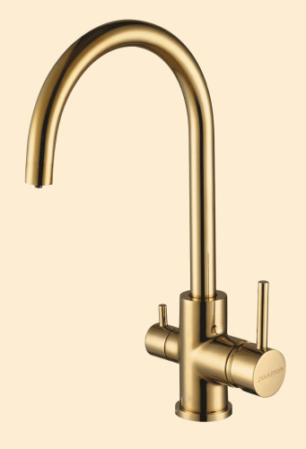 Paulmark Смеситель для кухни ESSEN, золото, 213211-G