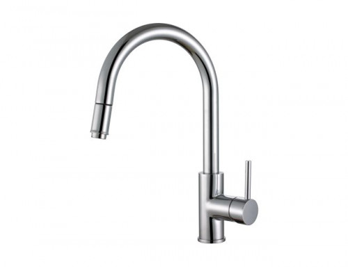 Alveus DELOS - P CHR