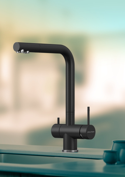 Paulmark Смеситель для кухни SKALEN, антрацит, 213020-401