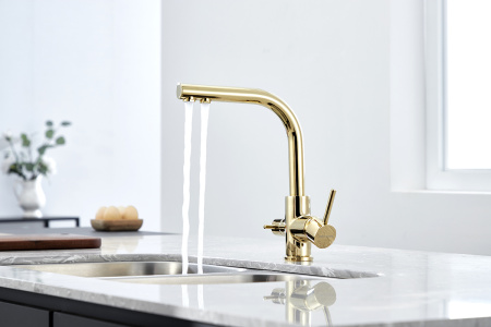 Paulmark Смеситель для кухни ESSEN, золото, 213011-G