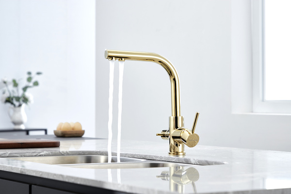 Paulmark Смеситель для кухни ESSEN, золото, 213011-G