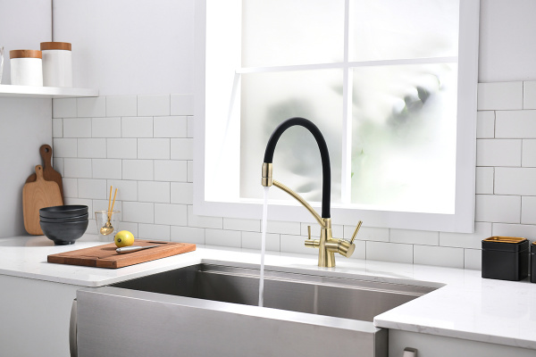 Paulmark Смеситель для кухни SIEGEN, бронза, 213111-BR