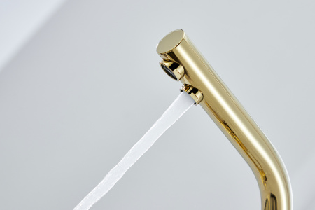 Paulmark Смеситель для кухни ESSEN, золото, 213011-G