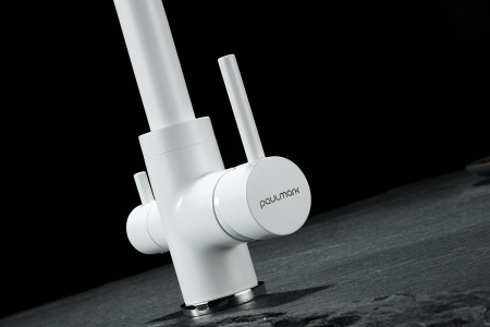 Paulmark Смеситель для кухни ESSEN, белый матовый полностью, 213011-431TW