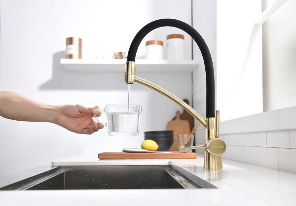 Paulmark Смеситель для кухни SIEGEN, бронза, 213111-BR