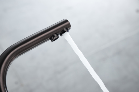 Paulmark Смеситель для кухни ESSEN, PVD, вороненая сталь, 213011-GM