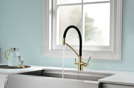 Paulmark Смеситель для кухни SIEGEN, золото, 213111-G