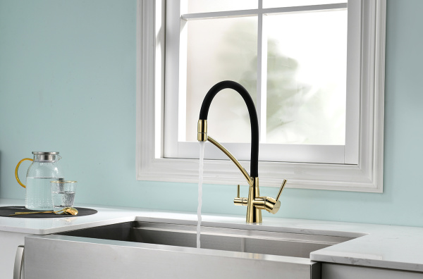 Paulmark Смеситель для кухни SIEGEN, золото, 213111-G