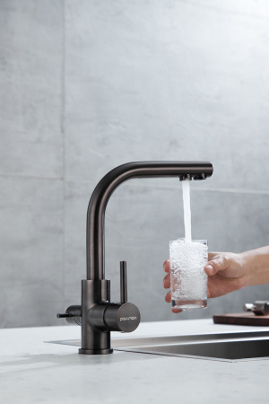 Paulmark Смеситель для кухни ESSEN, PVD, вороненая сталь, 213011-GM