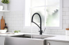 Paulmark Смеситель для кухни SIEGEN, черный металлик, 213111-418