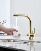 Paulmark Смеситель для кухни ESSEN, золото, 213011-G