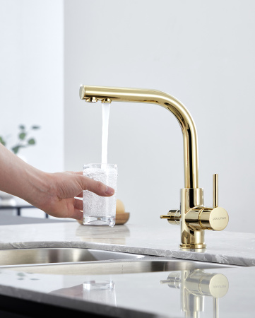 Paulmark Смеситель для кухни ESSEN, золото, 213011-G
