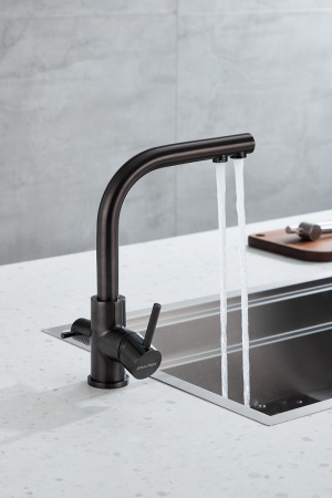 Paulmark Смеситель для кухни ESSEN, PVD, вороненая сталь, 213011-GM