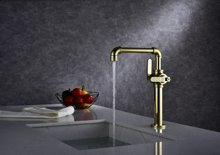 Paulmark Смеситель для кухни LOFT, Lo226006-G, золото