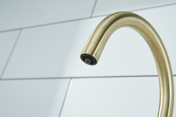 Paulmark Смеситель для кухни ESSEN, бронза, 213211-BR