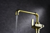 Paulmark Смеситель для кухни LOFT, Lo226006-G, золото