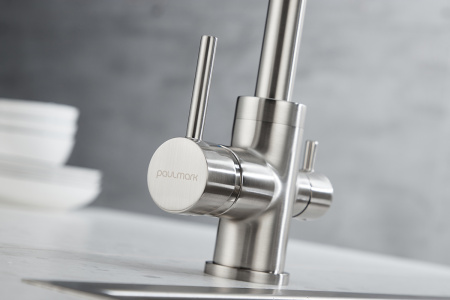 Paulmark Смеситель для кухни ESSEN, никель, 213211-NI