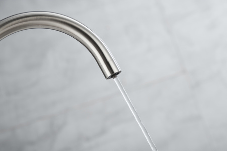 Paulmark Смеситель для кухни ESSEN, никель, 213211-NI