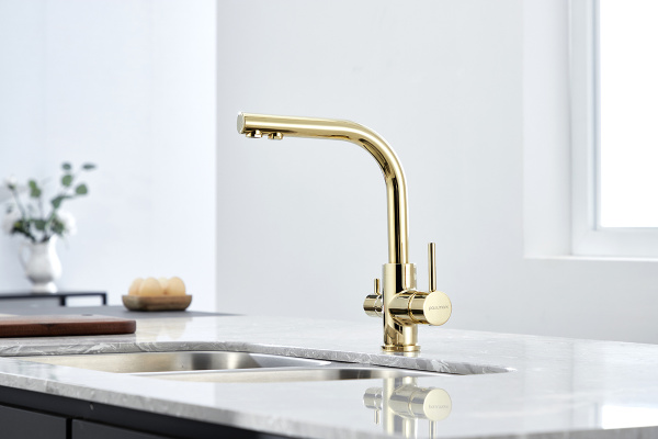 Paulmark Смеситель для кухни ESSEN, золото, 213011-G