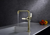 Paulmark Смеситель для кухни LOFT, Lo226006-G, золото