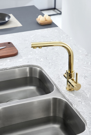 Paulmark Смеситель для кухни ESSEN, золото, 213011-G
