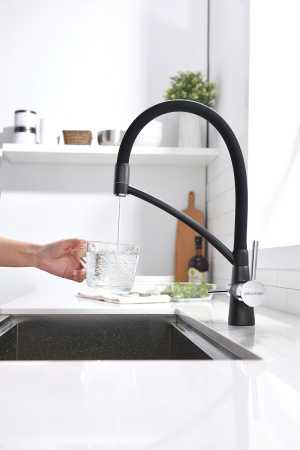 Paulmark Смеситель для кухни SIEGEN, черный металлик, 213111-418