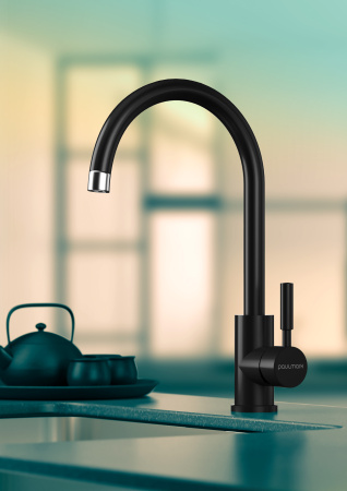 Paulmark Смеситель для кухни Holstein, антрацит, Ho212063-401