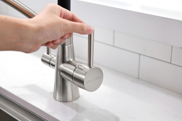 Paulmark Смеситель для кухни SIEGEN, никель, 213111-NI