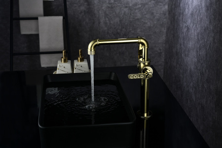 Paulmark Смеситель для кухни LOFT, Lo226006-G, золото