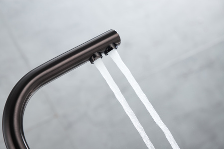 Paulmark Смеситель для кухни ESSEN, PVD, вороненая сталь, 213011-GM