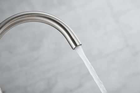 Paulmark Смеситель для кухни ESSEN, никель, 213211-NI