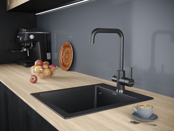 Paulmark Смеситель для кухниLOGAS, Lo213021-308, Чёрный