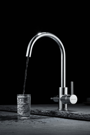 Paulmark Смеситель для кухни ESSEN, хром, 213211-CR