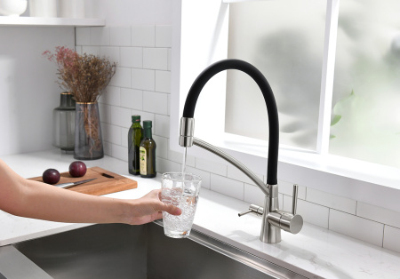 Paulmark Смеситель для кухни SIEGEN, никель, 213111-NI