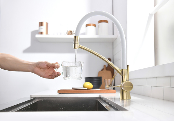 Paulmark Смеситель для кухни SIEGEN, бронза/белый, 213111-BrW