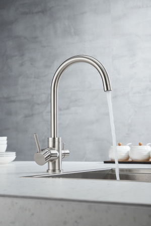 Paulmark Смеситель для кухни ESSEN, никель, 213211-NI