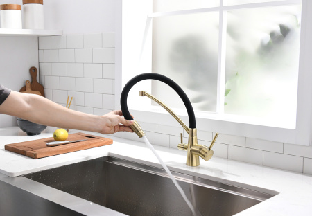 Paulmark Смеситель для кухни SIEGEN, бронза, 213111-BR