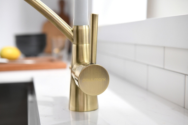 Paulmark Смеситель для кухни SIEGEN, бронза/белый, 213111-BrW