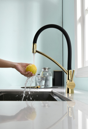 Paulmark Смеситель для кухни SIEGEN, золото, 213111-G