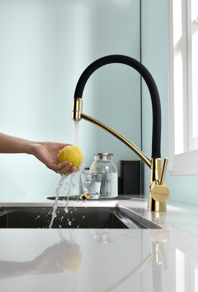 Paulmark Смеситель для кухни SIEGEN, золото, 213111-G