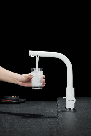 Paulmark Смеситель для кухни ESSEN, белый матовый полностью, 213011-431TW