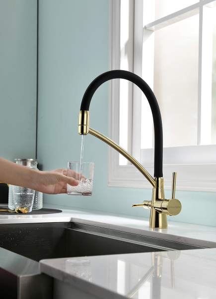 Paulmark Смеситель для кухни SIEGEN, золото, 213111-G