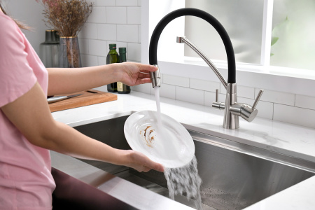 Paulmark Смеситель для кухни SIEGEN, никель, 213111-NI